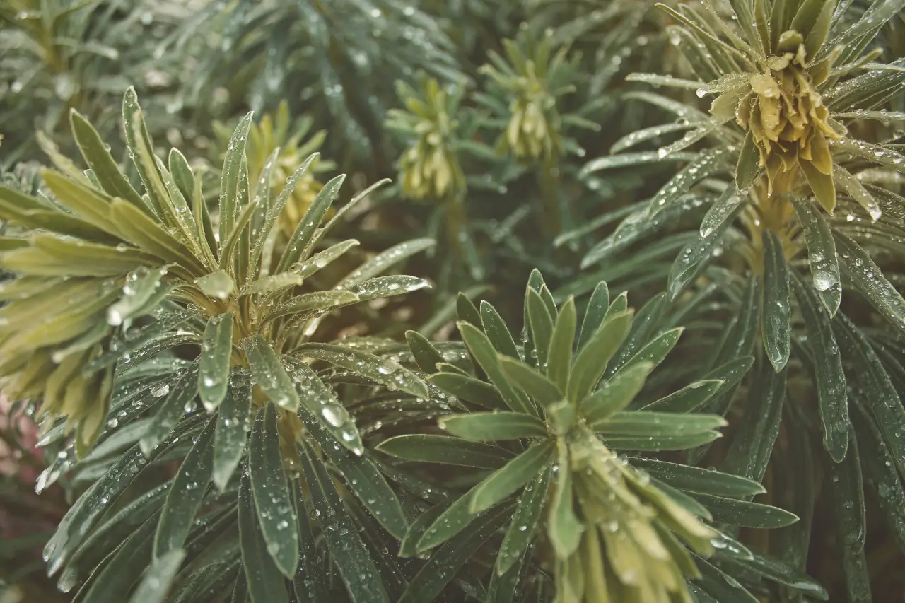 LED投光灯与工矿灯在工业厂房照明中的配光方案对比分析